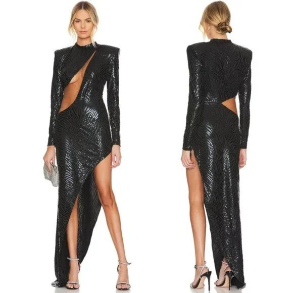 Bronx And Banco Dresses & Skirts - NEW Bronx and Banco Ricky Zebra Gown in Black mesh sheer cutout long sleeve